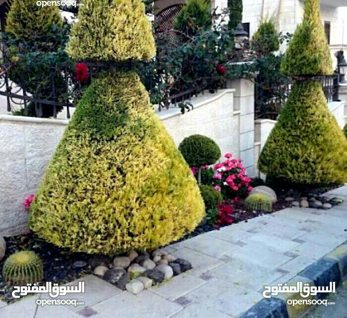 مكتب حنين
لا تنسَ أنك شاهدت هذا الإعلان في عنكبوت
تستمر عرووض تحطيم الأسعار مع مكتب حنين يشم...
