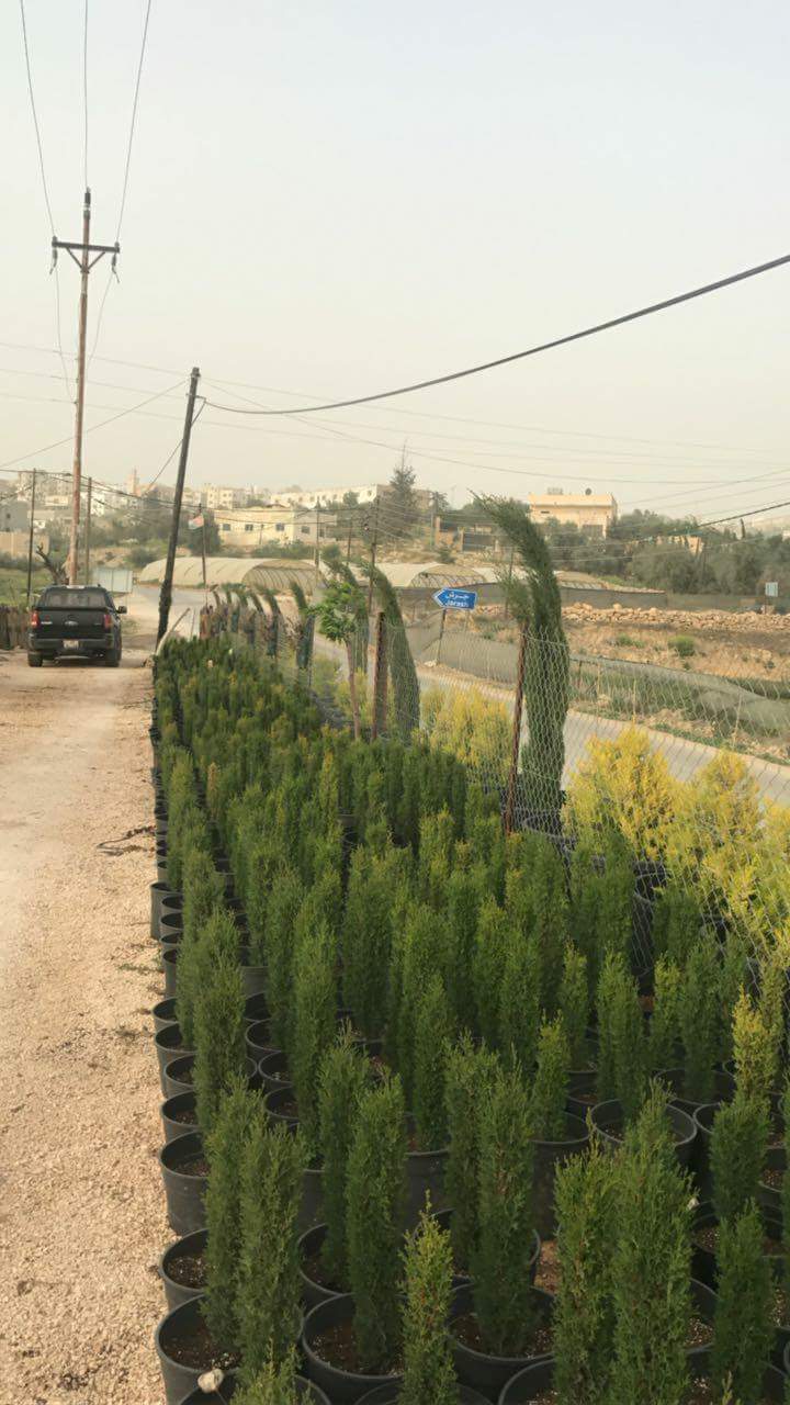تنسيق الحدائق وتقليم الاشجار وجميع الخدمات الزراعيه
لا تنسَ أنك شاهدت هذا الإعلان في عنكبوت
ز...