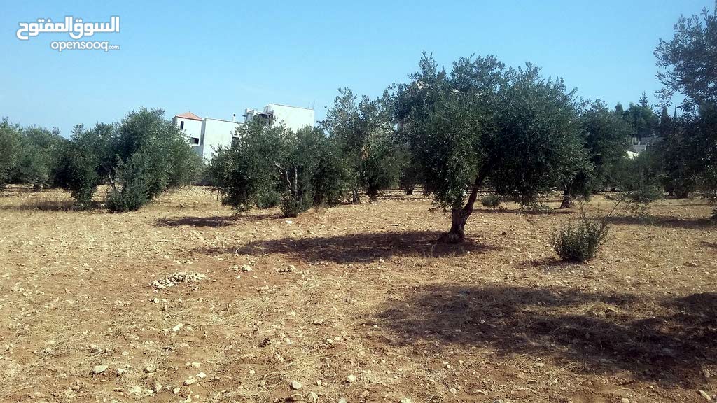 للبيع ابو نصير حوض ام بطمه 850م بسعر مغري من المالك مباشره
لا تنسَ أنك شاهدت هذا الإعلان في عنكبوت...
