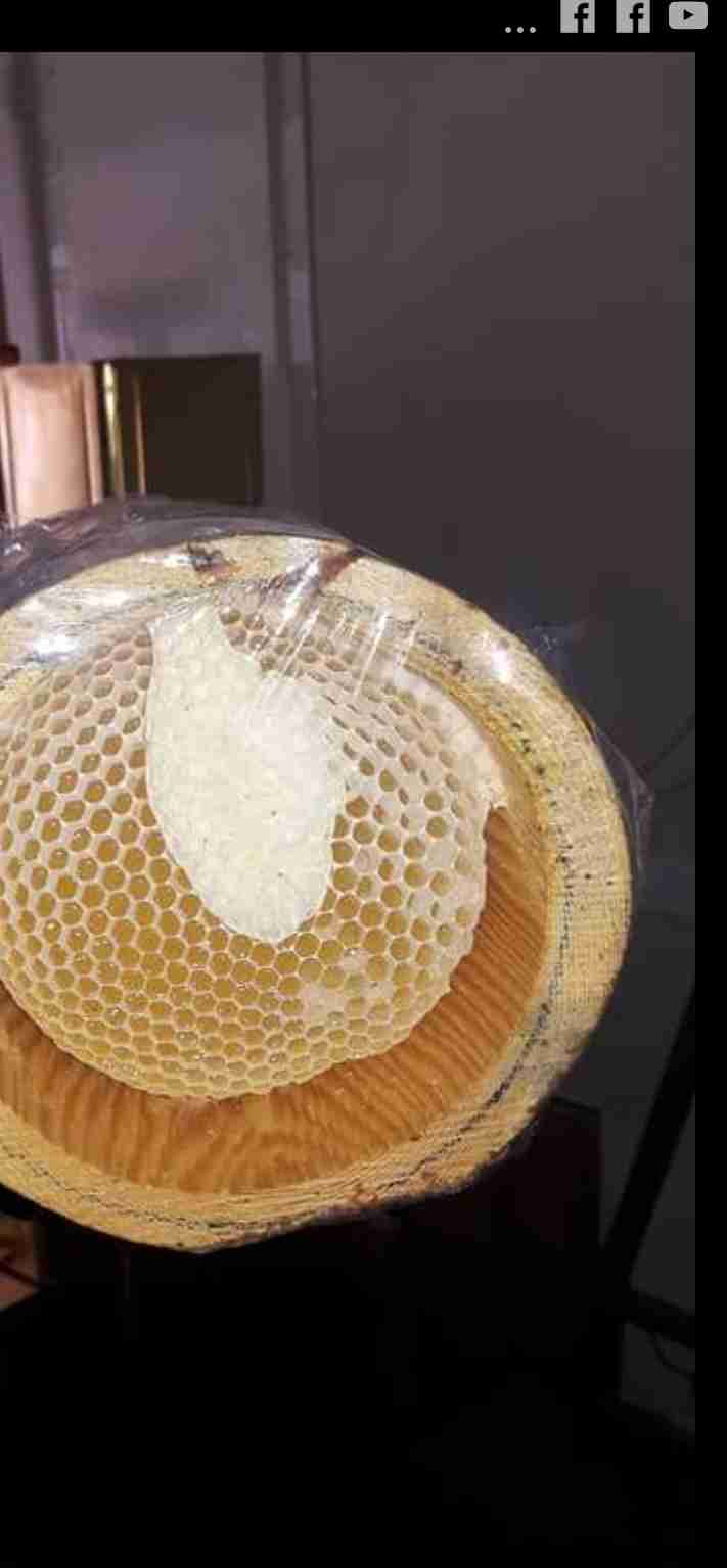 عسل جبلي في جذوع الاشجار من الغابات التركيه
لا تنسَ أنك شاهدت هذا الإعلان في عنكبوت
بالغذاء ا...