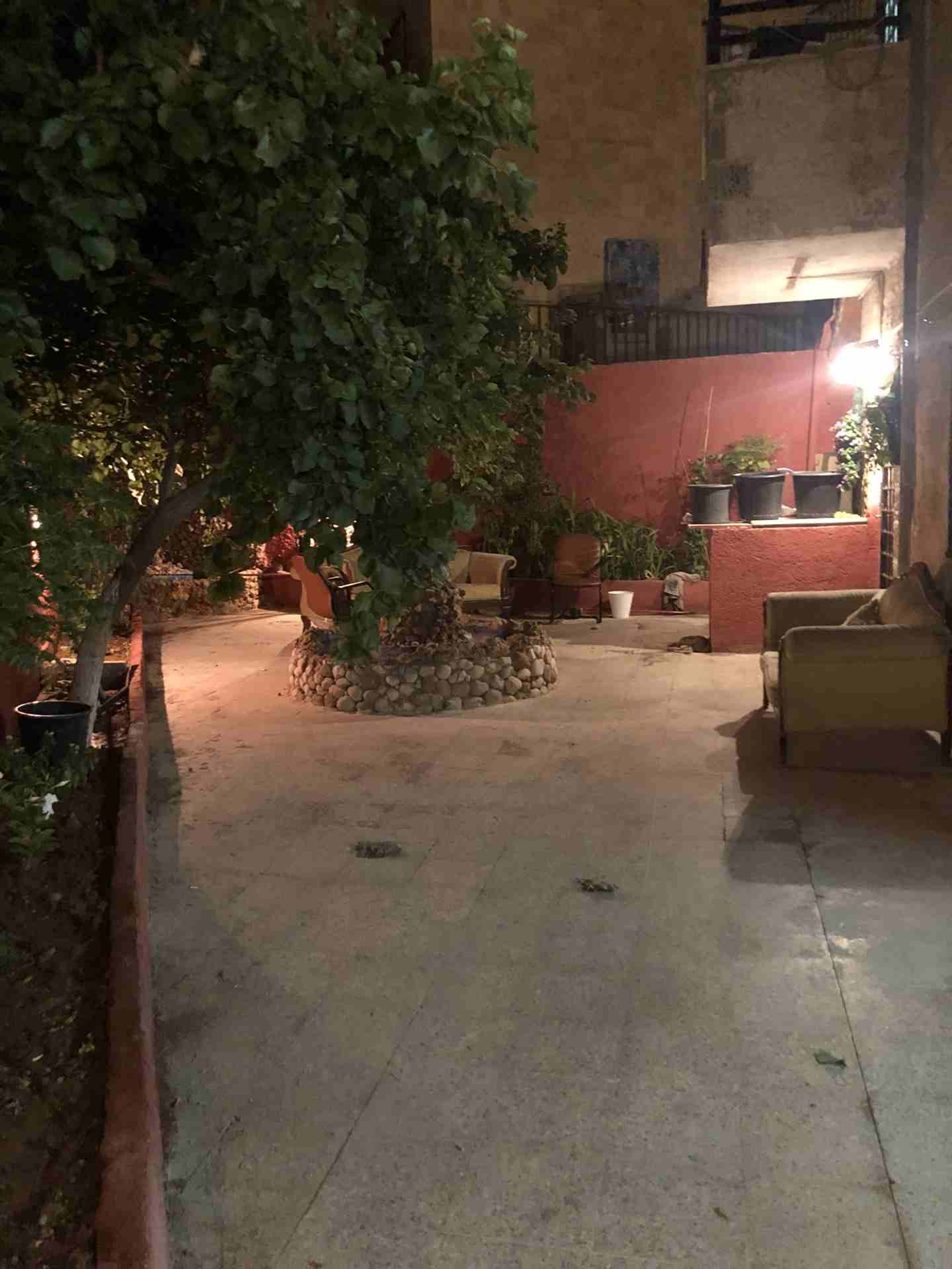استوديو شارع الجامعة مقابل فندق روجينا
لا تنسَ أنك شاهدت هذا الإعلان في عنكبوت
استوديو مع ترس جمي...