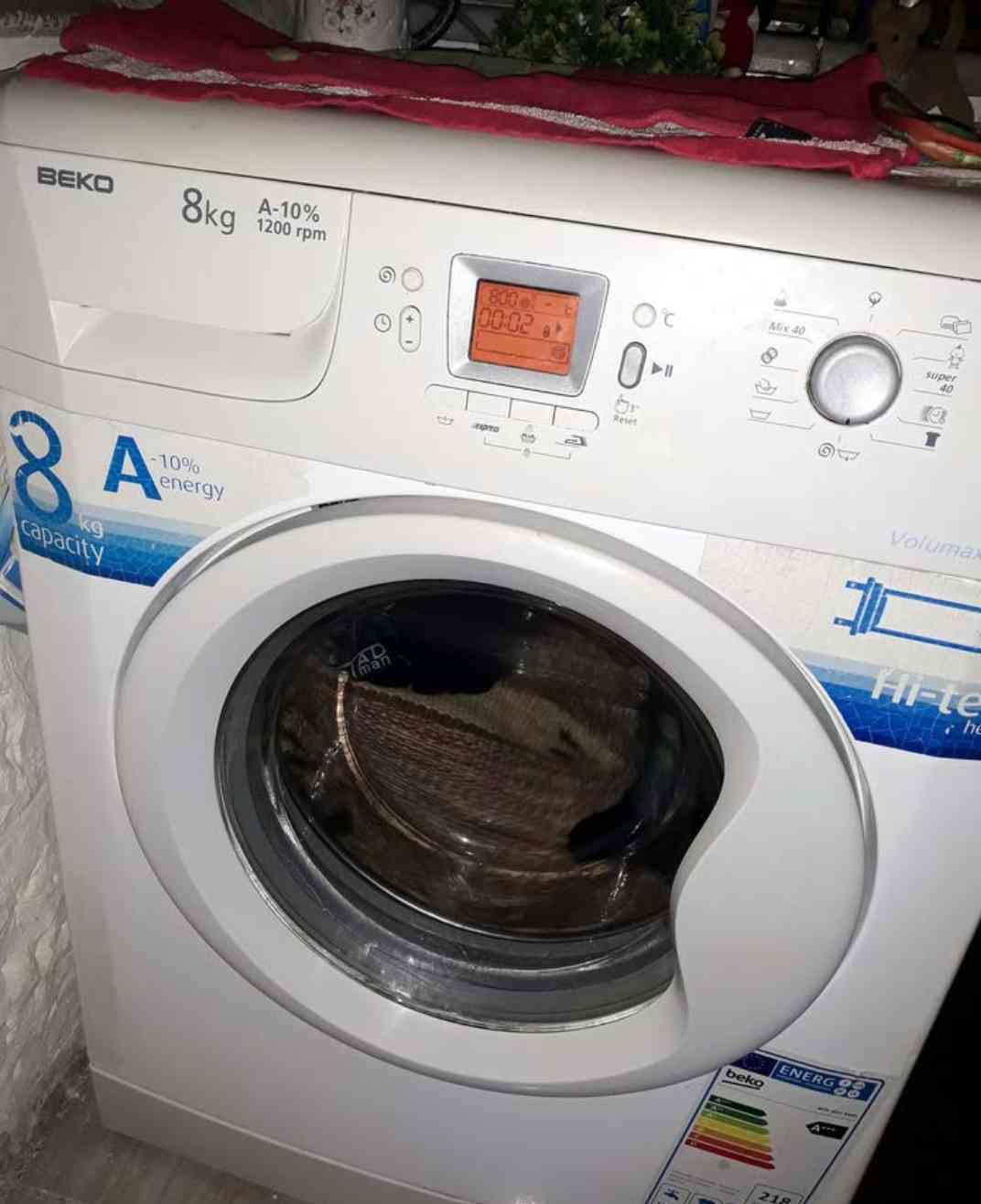 صيانة جميع أنواع غسالات وا ثلاجات داخل منزل جميع مناطق خدمة سريعة افضل اسعار
لا تنسَ أنك شاهدت هذا الإعلان في عنكبوت...