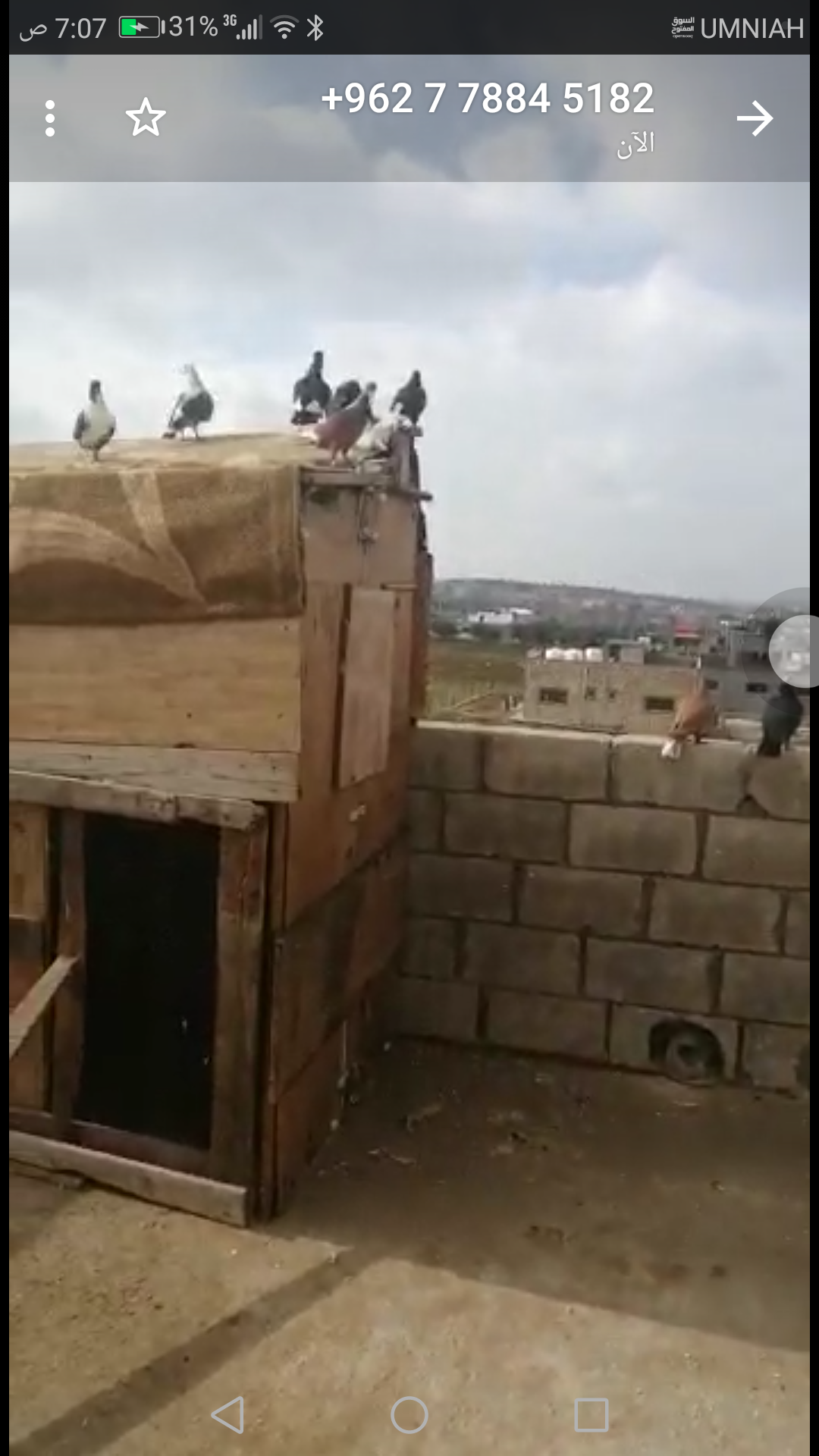 20 حبه صواريخ بطيرن بيت رأس البيع بلكوم ع 6 والي بدو ما منقصر معو                                            


	 				لا تنسَ أنك شاهدت هذا الإعلان في عنكبوت...