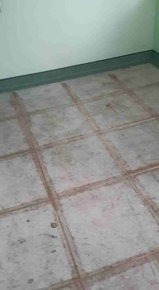 ارضيات Raised Floor , Parquet , Rubber, PVC
لا تنسَ أنك شاهدت هذا الإعلان في عنكبوت
بي في سي ، ر...