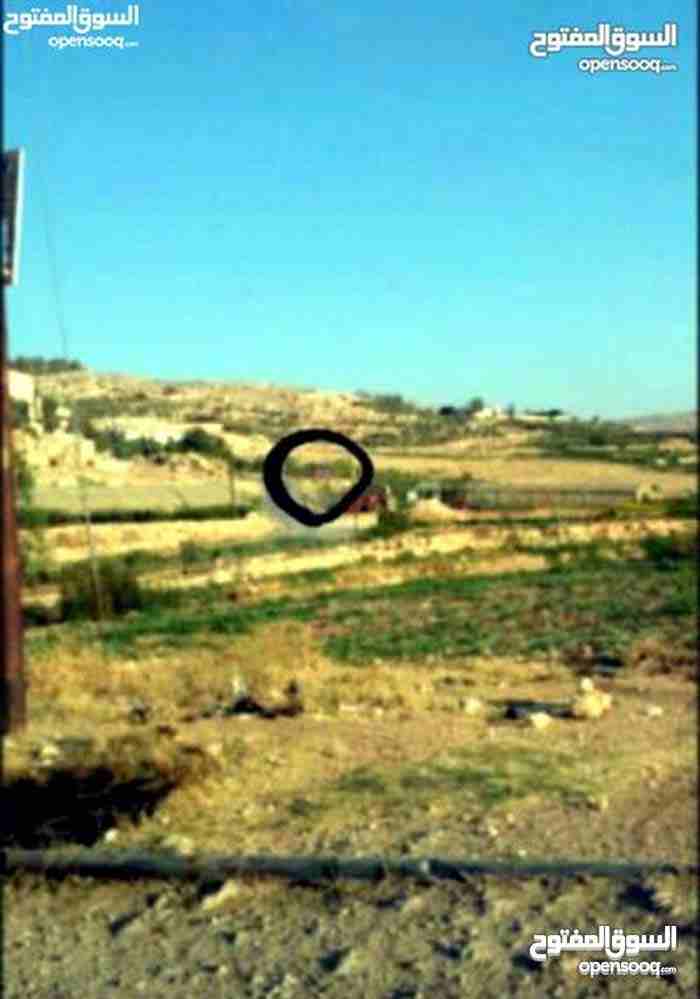 ارض للبيع ناعور وسيل حسبان قرب النبع
لا تنسَ أنك شاهدت هذا الإعلان في عنكبوت
ارض للبيع
اراضي نا...