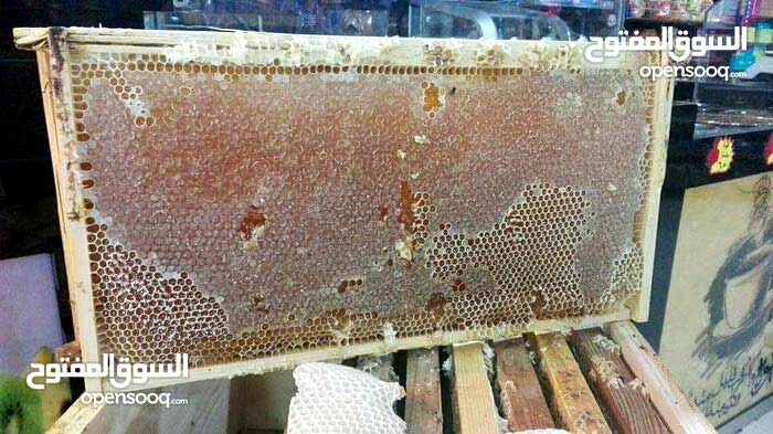 مناحل الشمال
لا تنسَ أنك شاهدت هذا الإعلان في عنكبوت
كبير نحالي الشمال
مناحل سوار العسل...