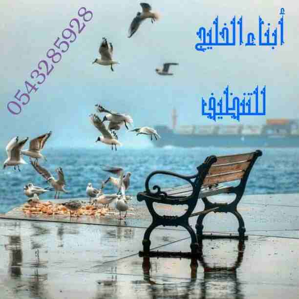 السلام عليكم ورحمة الله وبركاته
أهلا ومرحبا بكم في أفضل شركه تنظيف بالمدينه المنورة أبناء الخليج للتنظيف الشامل والكامل للشقق السكنيه والمنازل المفروشة والعمارات والفلل والقصور وقاعات الأفراح والمناسب...