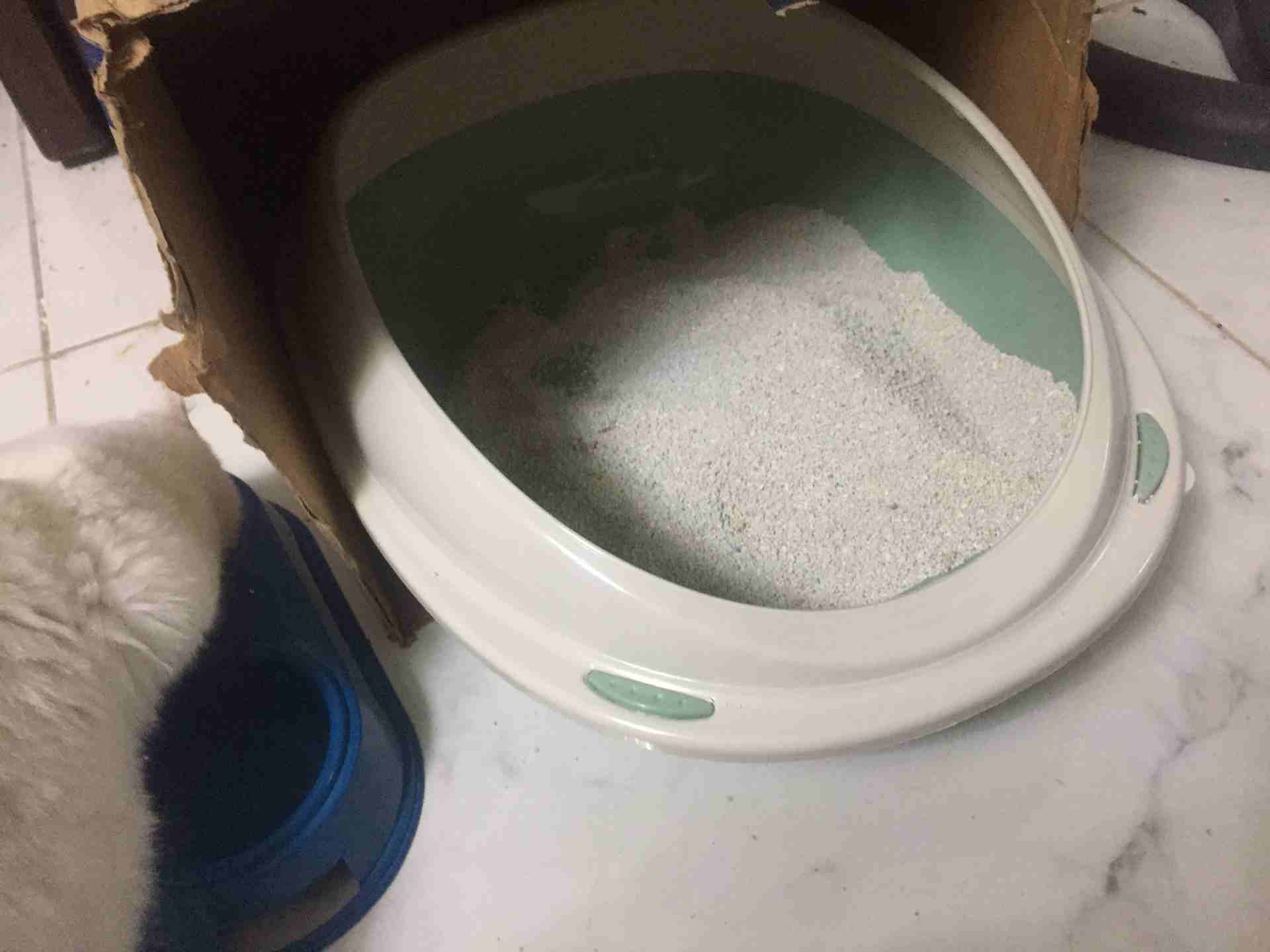 قط لعوووووووب
لا تنسَ أنك شاهدت هذا الإعلان في عنكبوت
قط انغورا ، لعوب جداً جداً جداً جداً جداً ج...