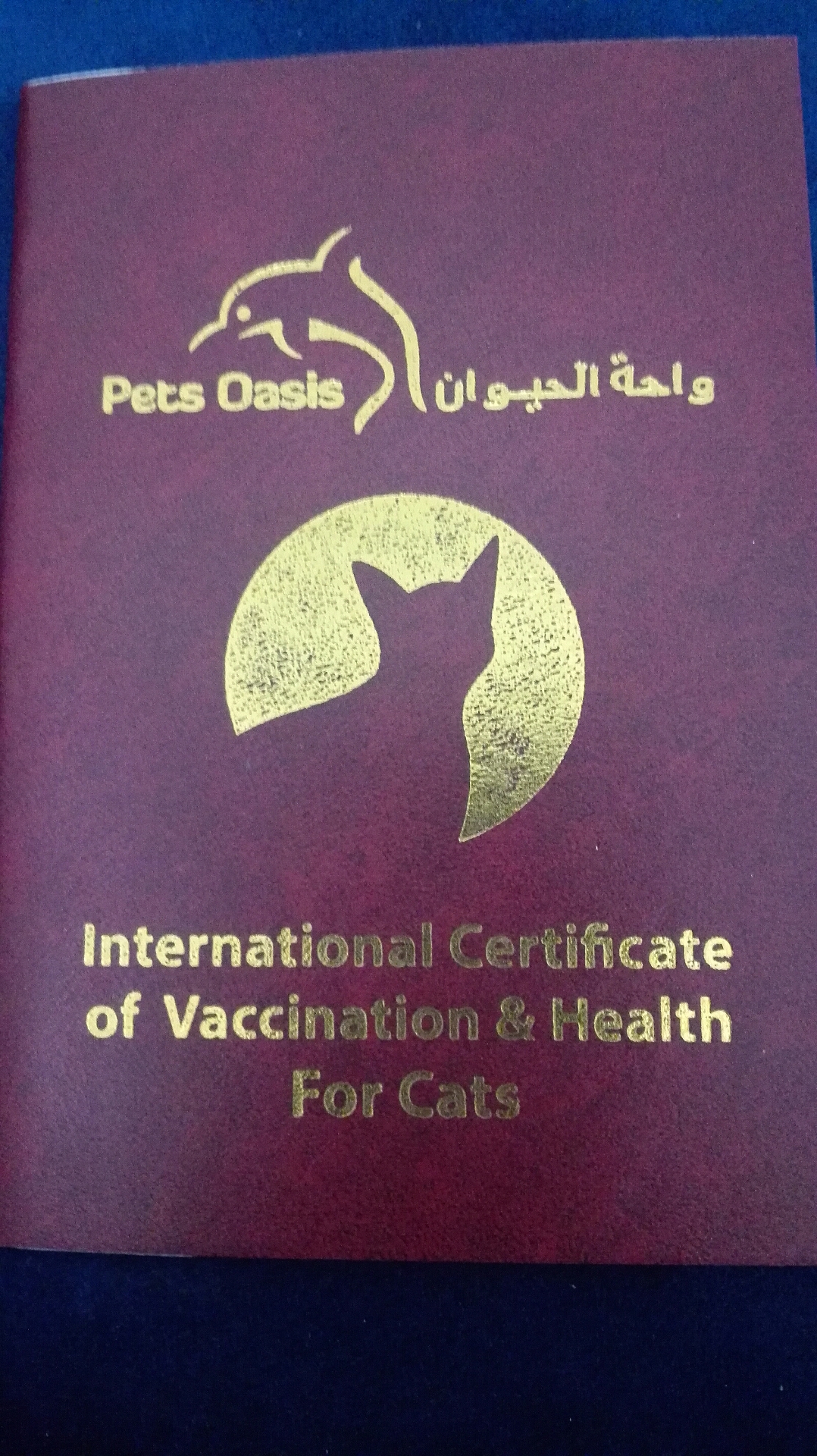 زوج قطط شيرازيه
لا تنسَ أنك شاهدت هذا الإعلان في عنكبوت
كلها صحته جيده الانثى يوجد بها عيب خل...