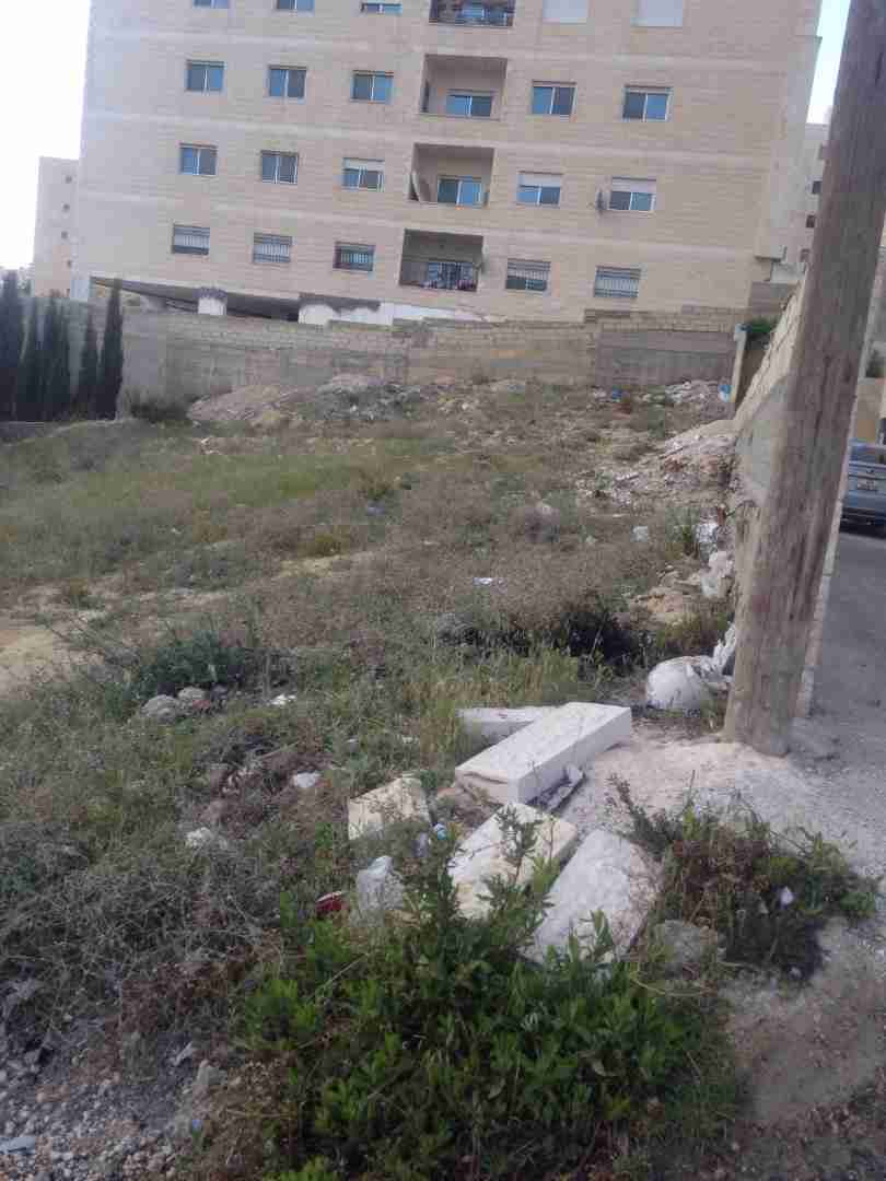 للبيع 840م جبيهه ام زويتينه على شارع الاردن من المالك مباشره
لا تنسَ أنك شاهدت هذا الإعلان في عنكبوت...
