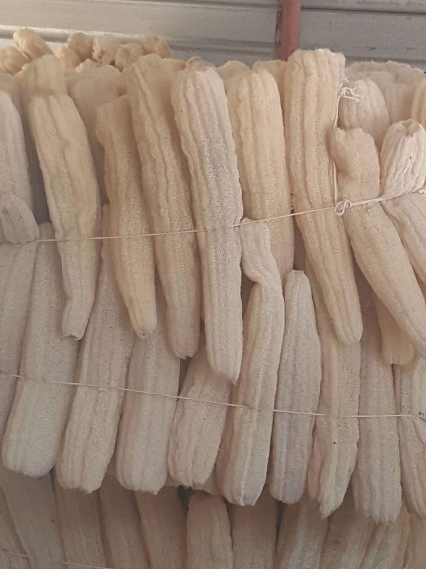 لوف حمام خام وصناعى 01210270868                                            


	 				لا تنسَ أنك شاهدت هذا الإعلان في عنكبوت            
	 				
                                مصنع الفتح لصناعة وتج...