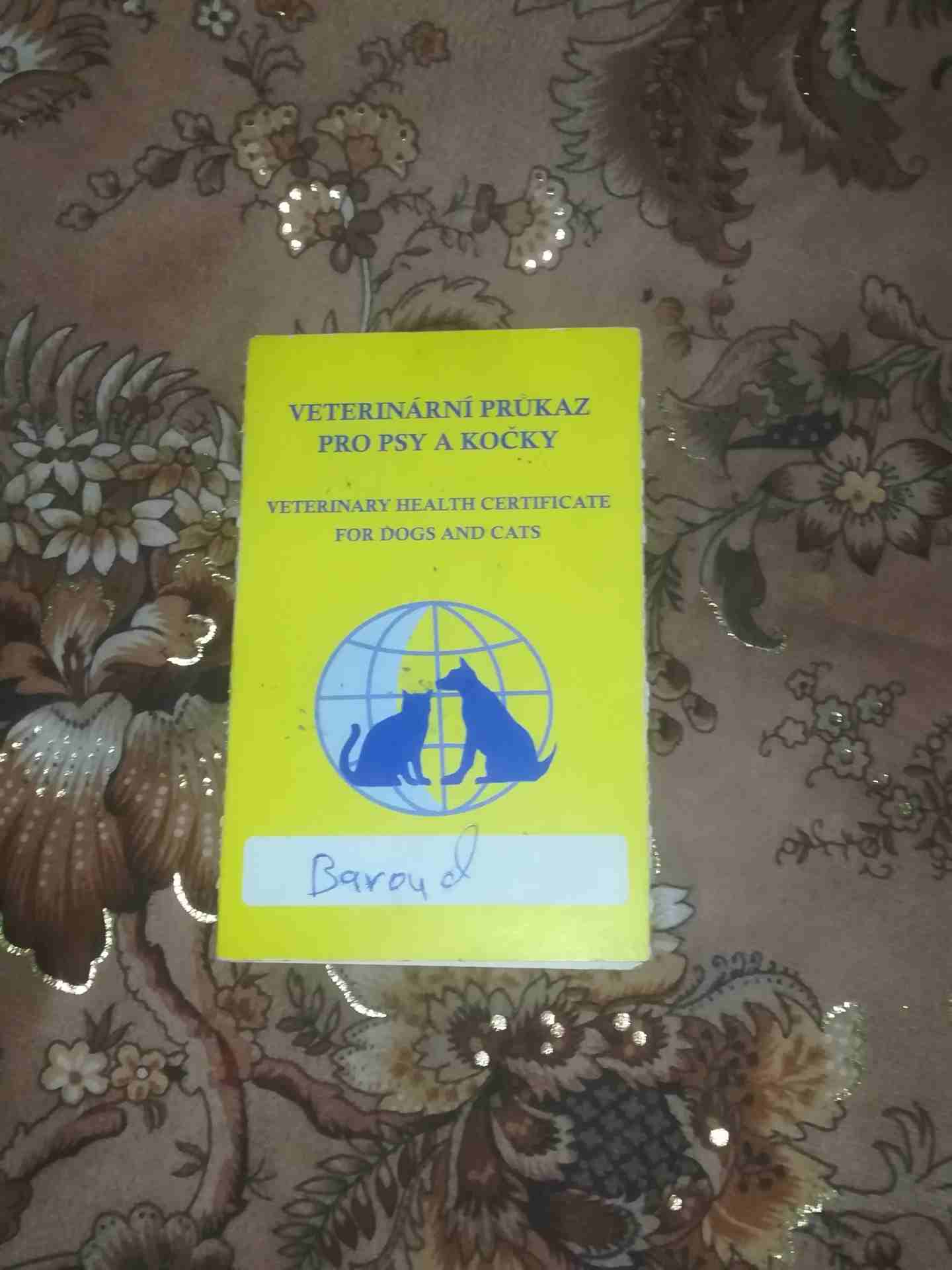 كلب بندوق بونتر
لا تنسَ أنك شاهدت هذا الإعلان في عنكبوت
كلب بندوق بونتر العمر سنه وشهرين غشيم ماخ...