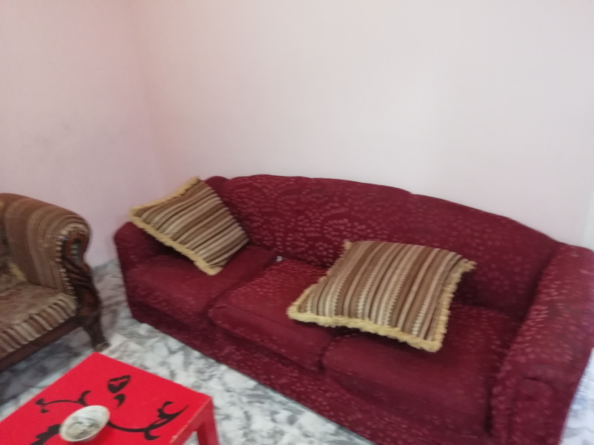 ستديو مفروش للايجار بشارع الجامعه
لا تنسَ أنك شاهدت هذا الإعلان في عنكبوت
ستديو مفروش مقابل ا...
