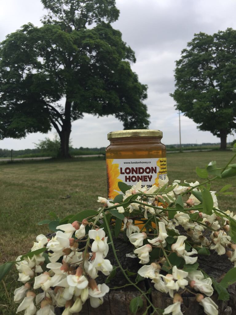 عسل كندي طبيعي حر صافي raw honey
لا تنسَ أنك شاهدت هذا الإعلان في عنكبوت
عسل حر انتاج مراعي ك...