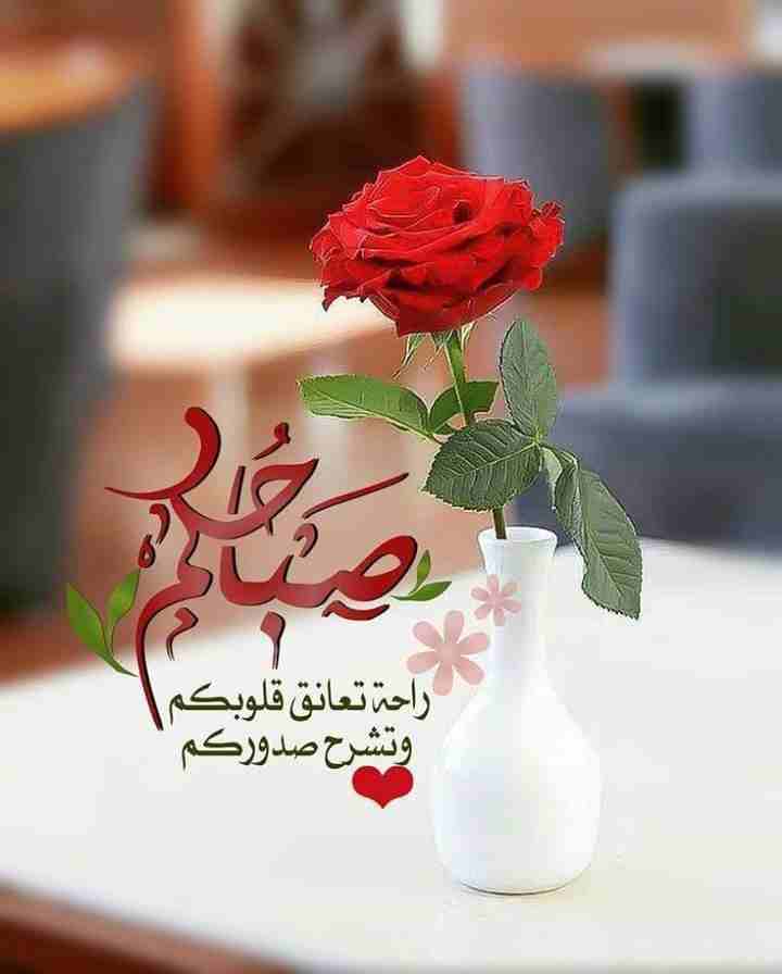 فيفا2019                                            


	 				لا تنسَ أنك شاهدت هذا الإعلان في عنكبوت            
	 				
                            لعبة فيفا 2019عربي جديدة للبيع...