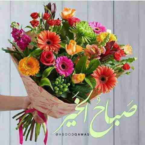 شقه للايجار في ضاحية الاقصى                                            


	 				لا تنسَ أنك شاهدت هذا الإعلان في عنكبوت            
	 				
                            شقه للايجار في ضاحية الاقصى ا...