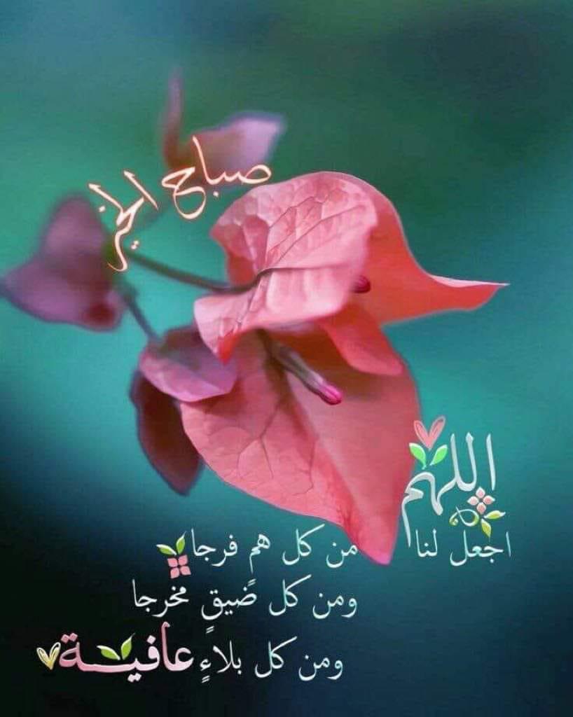 اربد الحصن                                            


	 				لا تنسَ أنك شاهدت هذا الإعلان في عنكبوت            
	 				
                                الجهاز تب نظافة والسعر من الاخر معه كرتونه...