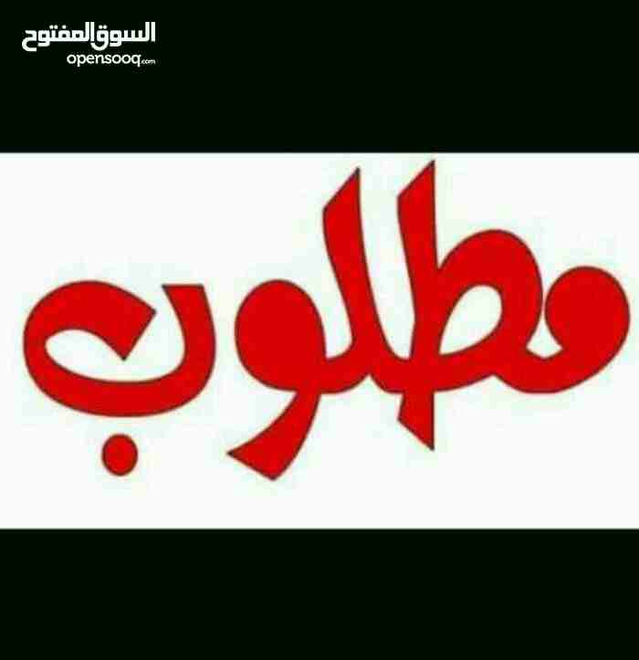 مطلوب شقق للبيع في ضاحية الاقصى والأمير حسن                                            


	 				لا تنسَ أنك شاهدت هذا الإعلان في عنكبوت            
	 				
                            مطلوب شقق للب...