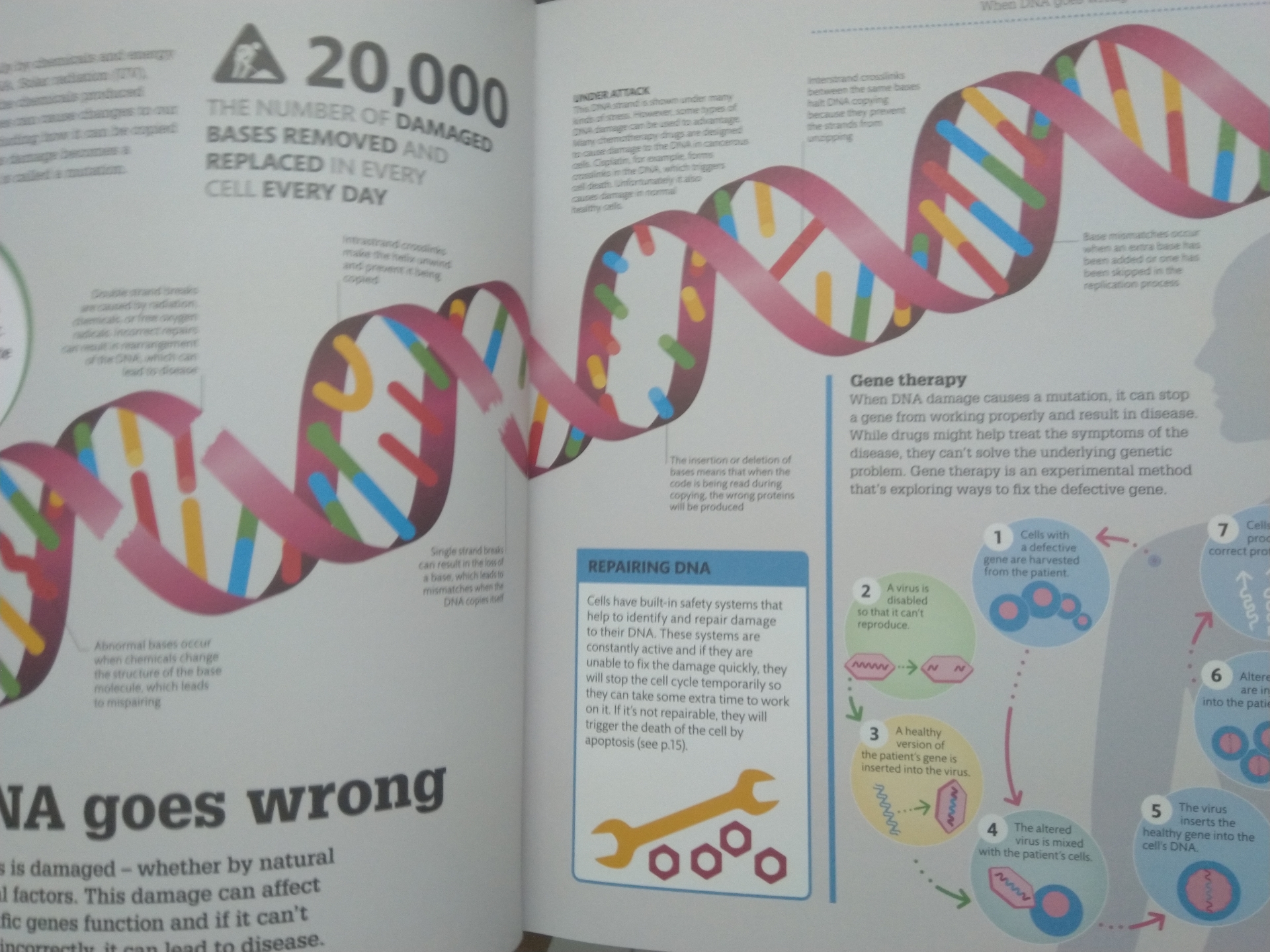 How The Body Works : The facts visually explained
لا تنسَ أنك شاهدت هذا الإعلان في عنكبوت
كتا...