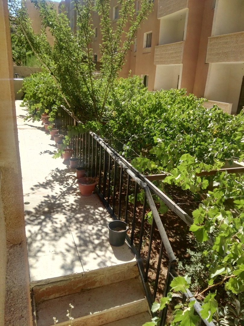 شقة للبيع اقساط او كاش....في سحاب ضاحيه الاميره ايمان
لا تنسَ أنك شاهدت هذا الإعلان في عنكبوت...