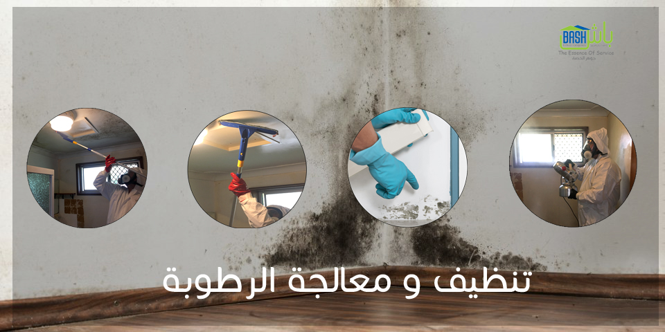 تنظيف منازل وخدمات صيانة - شركة باش لإدارة المرافق
لا تنسَ أنك شاهدت هذا الإعلان في عنكبوت
تن...