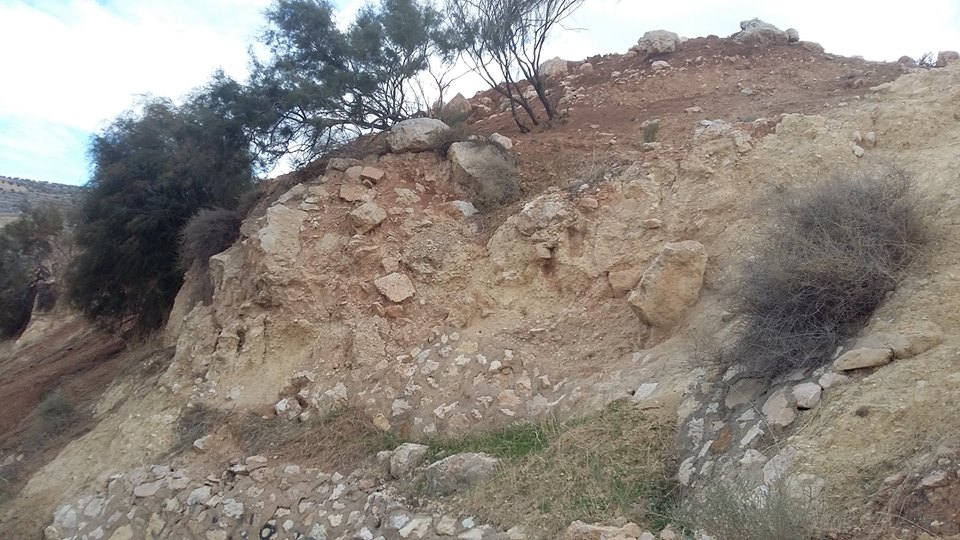 الأردن - عمان
أرض للبيع في جبة/ طريق عمان جرش - مقابل معصرة جبال جرش( على الشارع العام مباشرة)
القرية: جبة
حوض: الدقمسة
المساحة: 3.96 دنم
الموقع: جبة/ طريق عمان جرش - مقابل معصرة جبال جرش
المنطق...