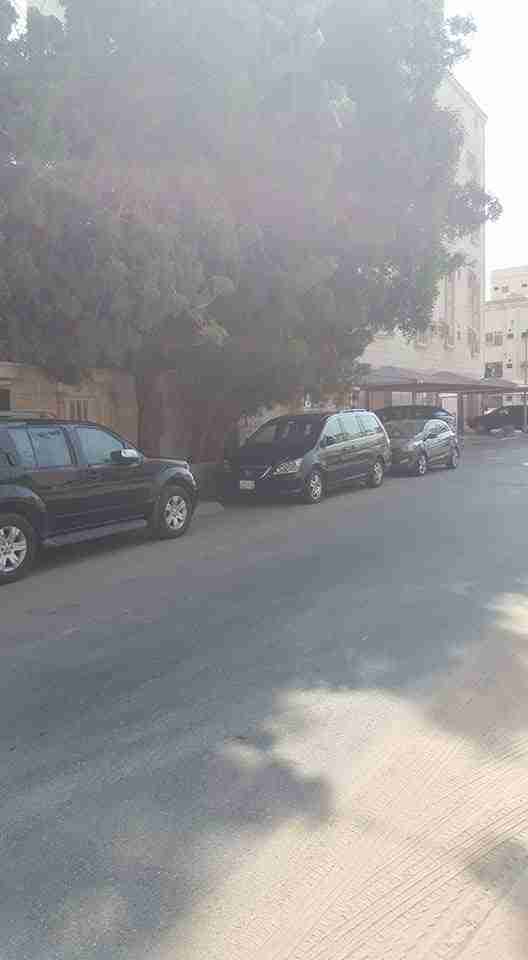 هوندا أوديسي 2006
لا تنسَ أنك شاهدت هذا الإعلان في عنكبوت
سيارة هوندا أوديسي 5 باب 7 راكب.مود...