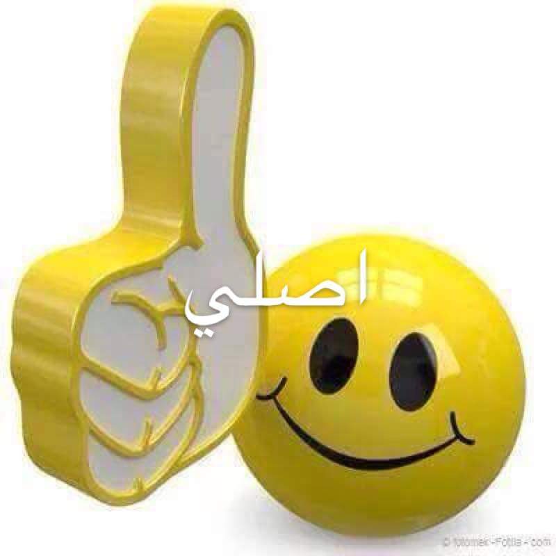 كلب جرو بتبول                                            


	 				لا تنسَ أنك شاهدت هذا الإعلان في عنكبوت            
	 				
                                جرو بتبول عمره 2شهر...