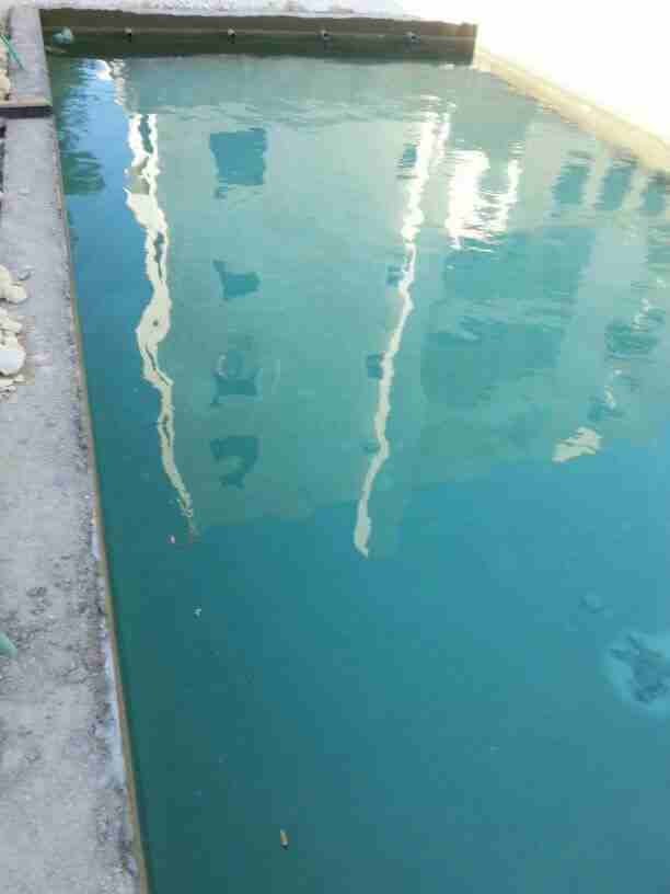كافه اعمال العزل 0797165297
لا تنسَ أنك شاهدت هذا الإعلان في عنكبوت
عزل الاسطح ابار مياه برك سباح...
