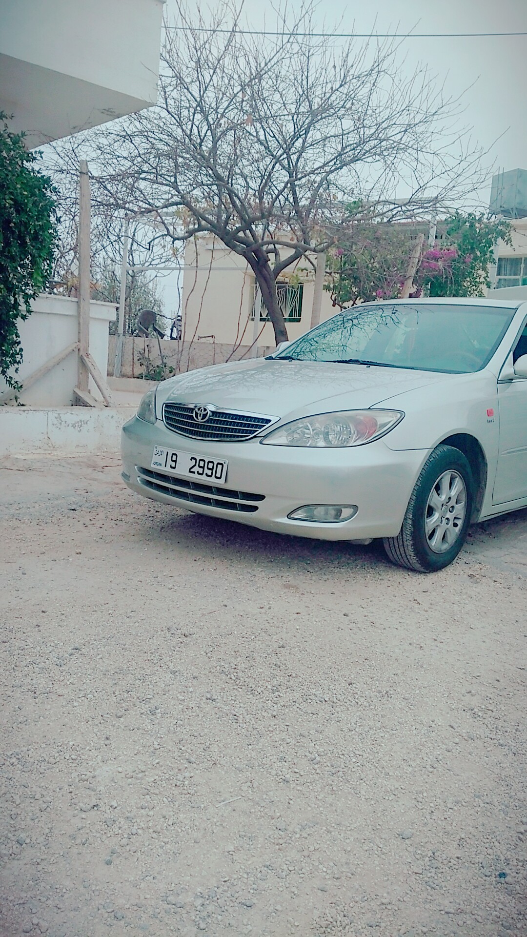 19-2990
لا تنسَ أنك شاهدت هذا الإعلان في عنكبوت
19-2990
للاستفسار0796750768
رقم المع...