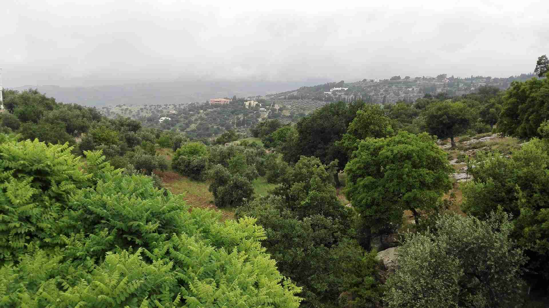 للبيع 633م الكاشف بدر الجديده
لا تنسَ أنك شاهدت هذا الإعلان في عنكبوت
أرض للبيع ، بدر الجديده...