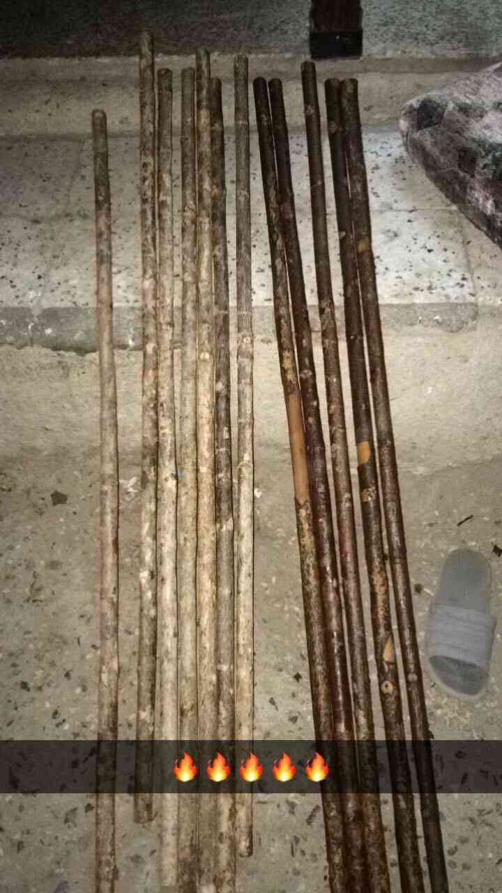 غبانه عصي مزمار شواحط
لا تنسَ أنك شاهدت هذا الإعلان في عنكبوت
مراود...