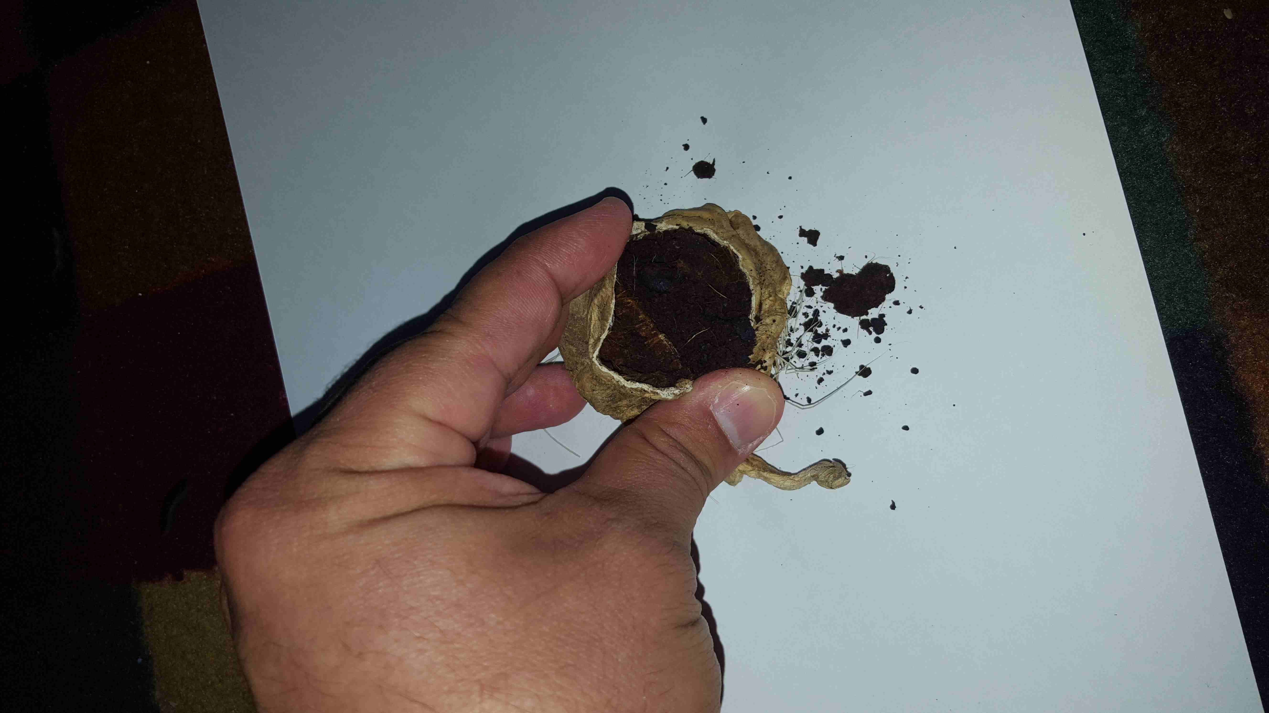 صرة مسك غزال أصلي بودرة خام
لا تنسَ أنك شاهدت هذا الإعلان في عنكبوت
الى عشاق الأصل .. الى عشاق ال...