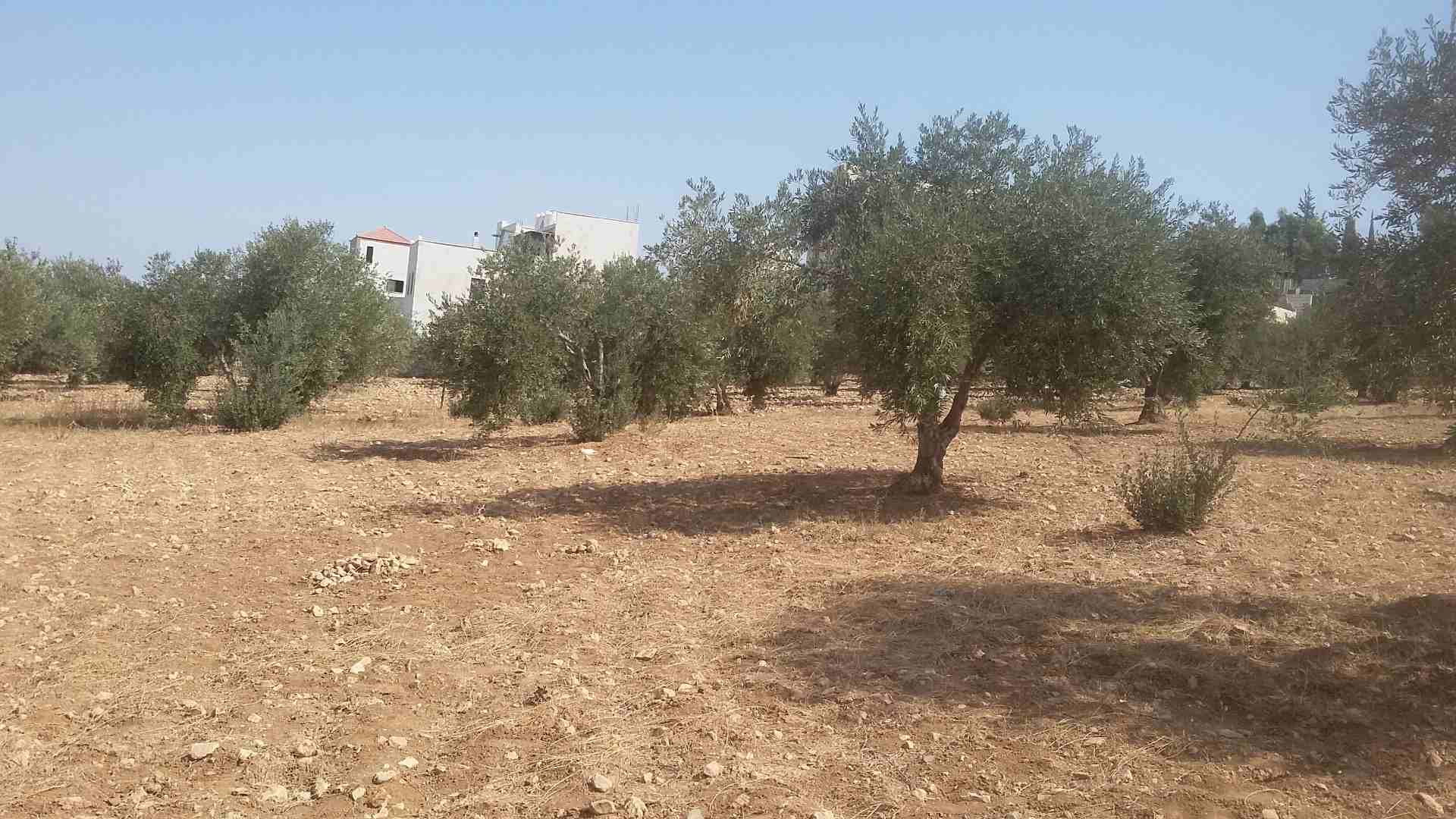 850 متر ابو نصير حوض ام بطمه موقع مميز  من المالك                                            


	 				لا تنسَ أنك شاهدت هذا الإعلان في عنكبوت            
	 				
                            ارض مسا...