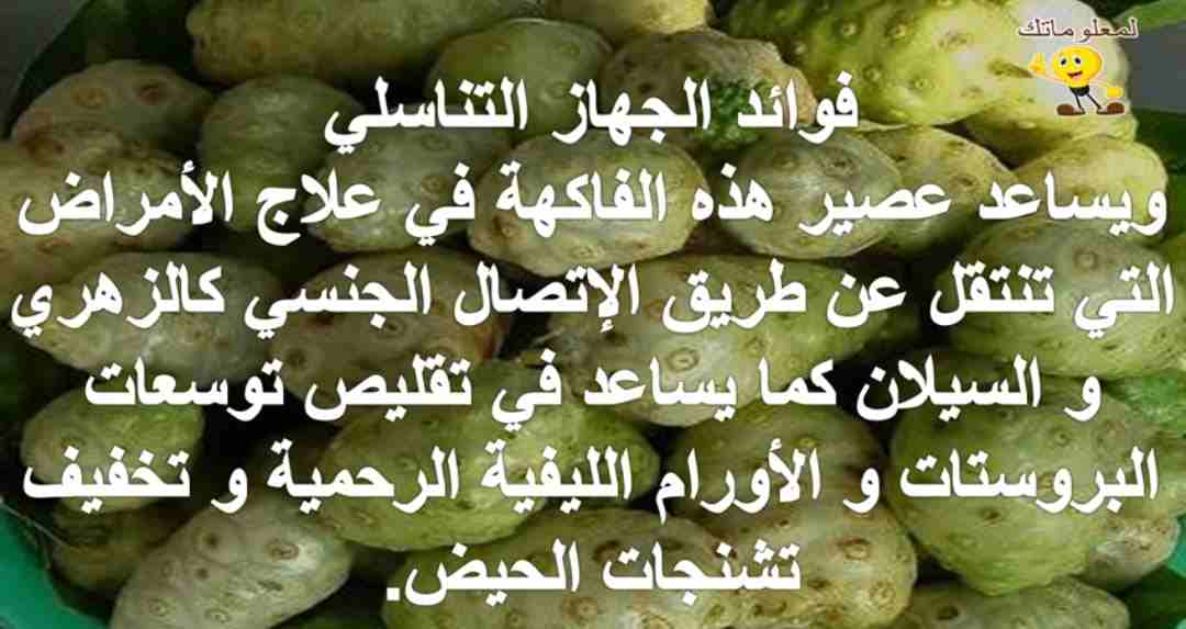 dxc مكملات غذاىيه صحيه
لا تنسَ أنك شاهدت هذا الإعلان في عنكبوت
مكملات غذائيه صحيه عضويه خاليه من...