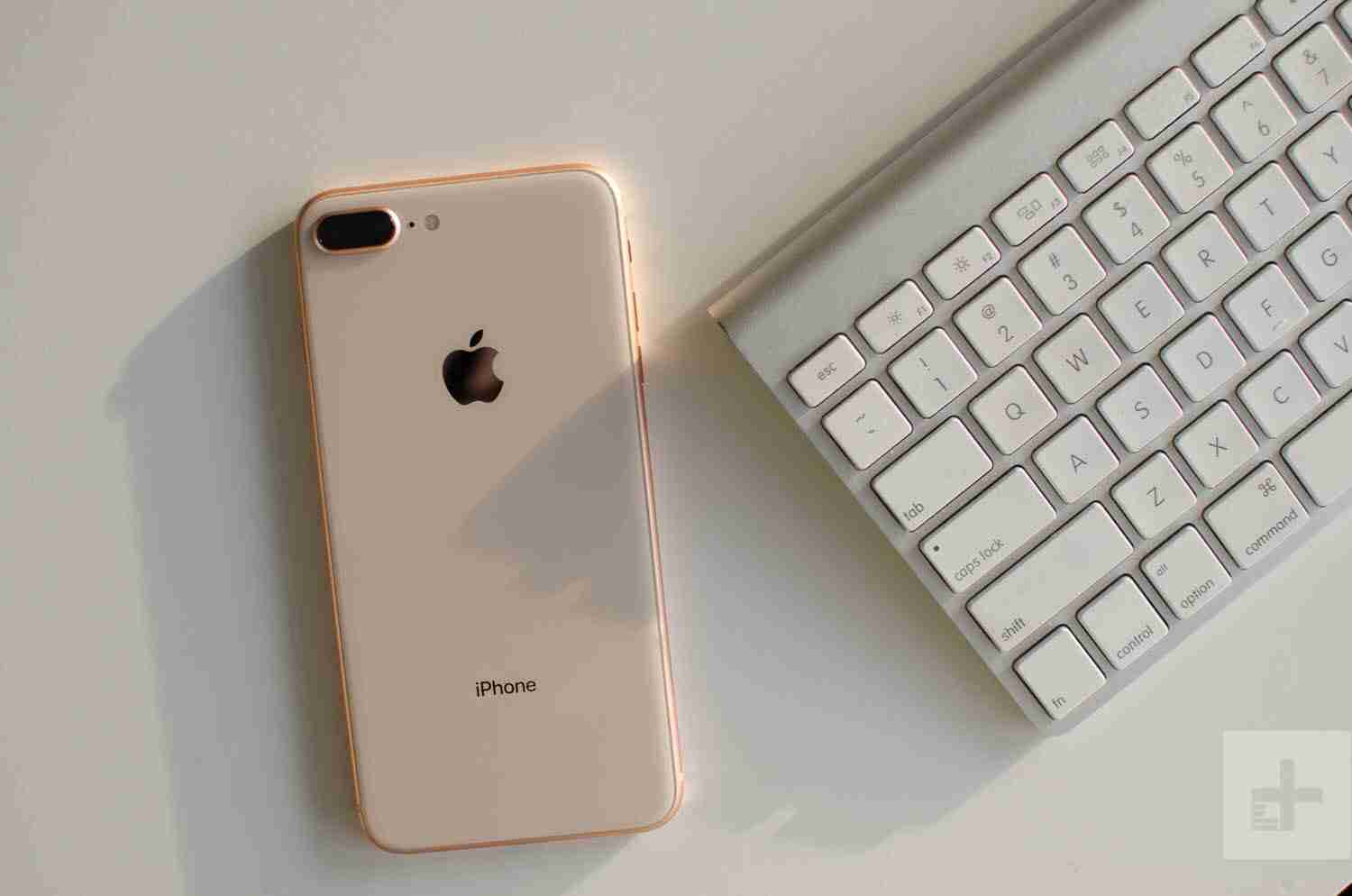 iphone 8 plus gold 64gb جديد تم تجربته فقط                                            


	 				لا تنسَ أنك شاهدت هذا الإعلان في عنكبوت            
	 				
                                الجهاز جدي...