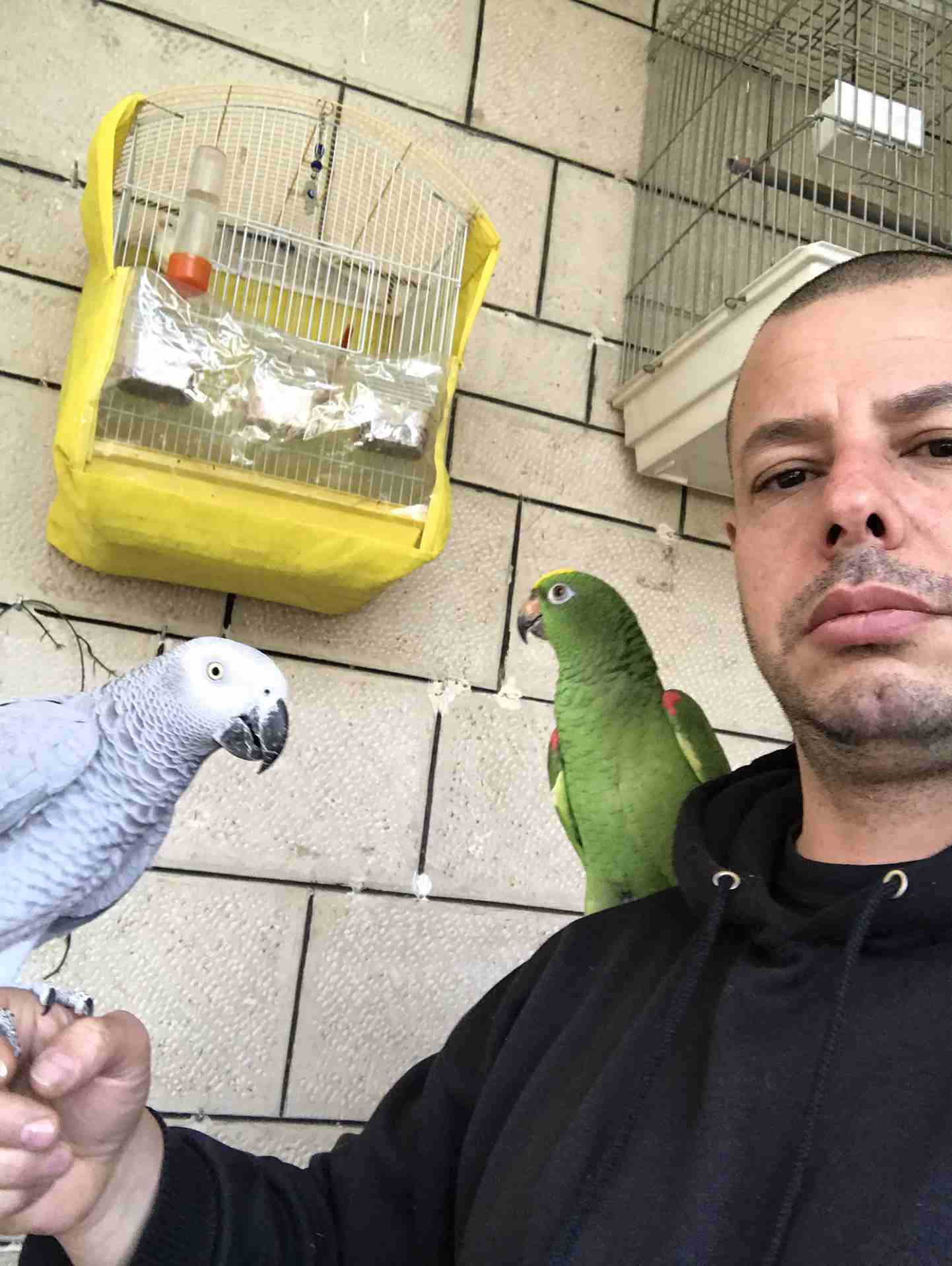 خبير طيور المعاكيف ابو ايهم
لا تنسَ أنك شاهدت هذا الإعلان في عنكبوت
بيع شراء تبديل ترويض علاج ق...