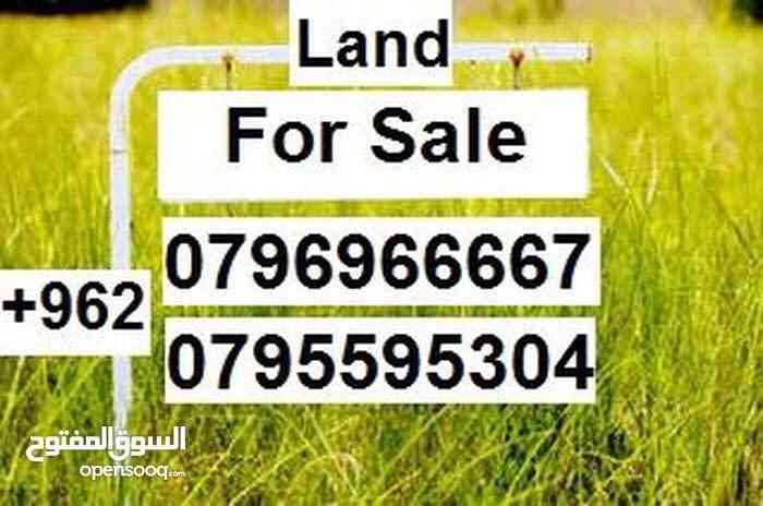 عدة قطع في ناعور حوض 17 أم رمانه                                            


	 				لا تنسَ أنك شاهدت هذا الإعلان في عنكبوت            
	 				
                                عدة قطع في ناعور / ح...