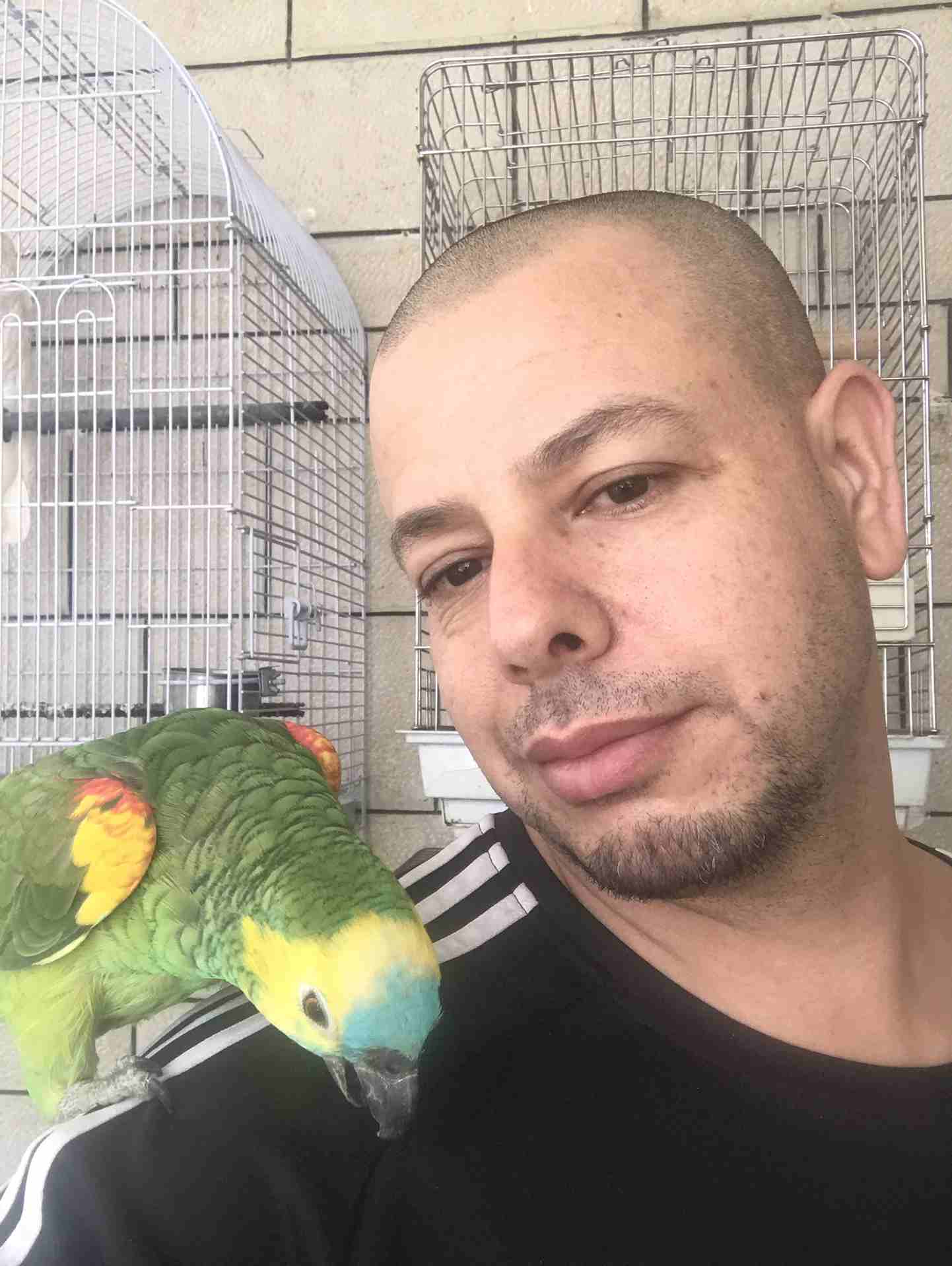 خبير طيور المعاكيف ابو ايهم
لا تنسَ أنك شاهدت هذا الإعلان في عنكبوت
بيع شراء تبديل ترويض علاج ق...