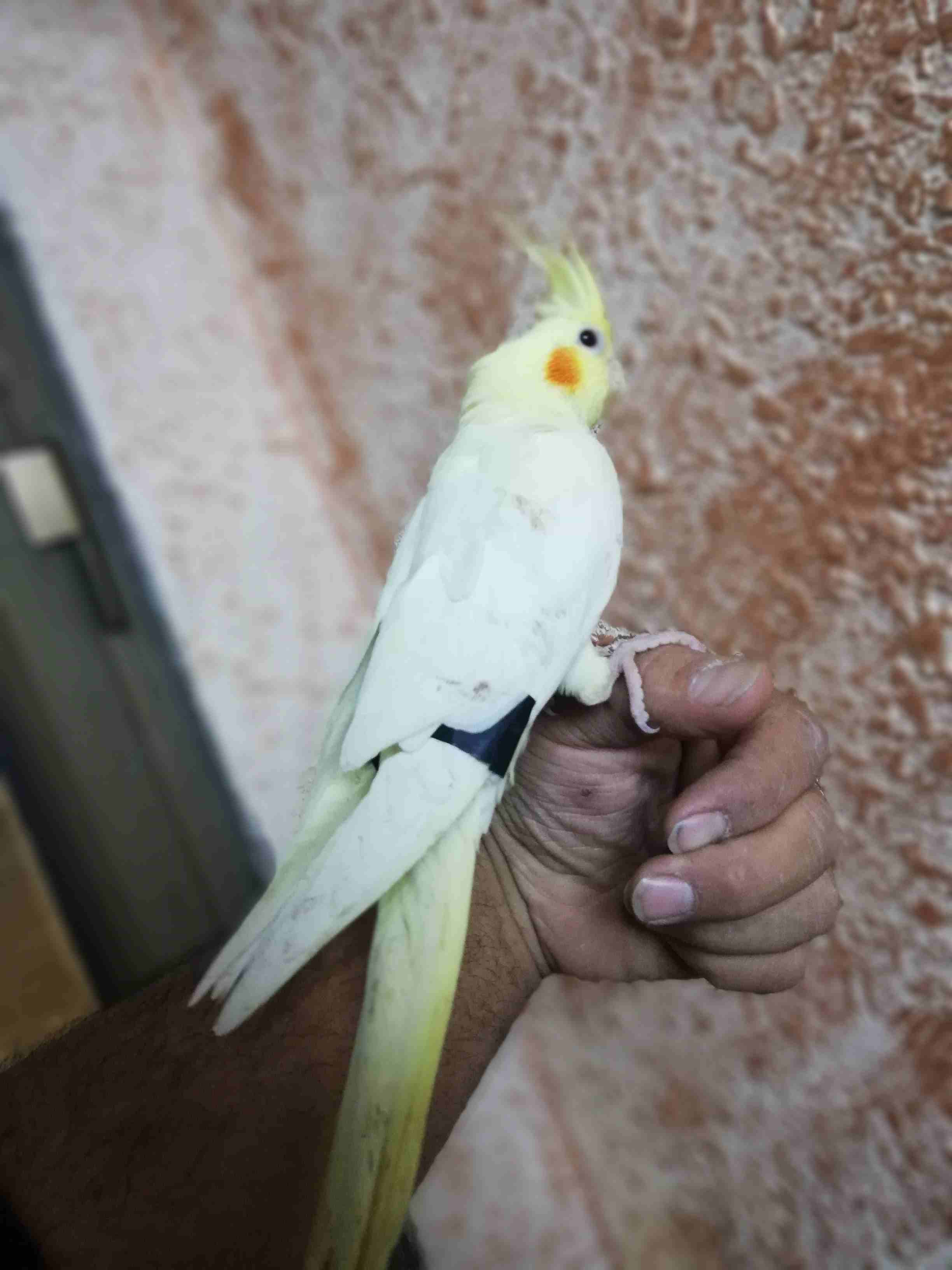 عرووووووووض ناااااااار
لا تنسَ أنك شاهدت هذا الإعلان في عنكبوت
عرررررض حارق خارق متفجر
اذكر الله...