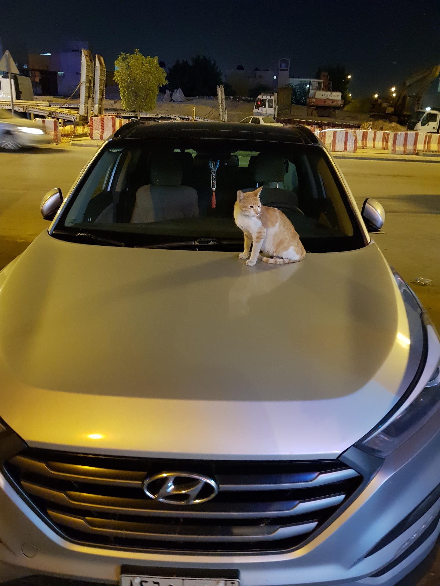 2016 tucson 98000 km                                            


	 				لا تنسَ أنك شاهدت هذا الإعلان في عنكبوت            
	 				
                                goutcondsen...