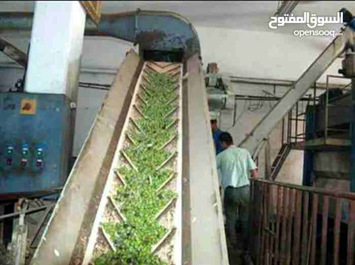 زيت زيتون بلدي من جبال جرش مكفول 100/100
لا تنسَ أنك شاهدت هذا الإعلان في عنكبوت
بسم آلله والصلاه...