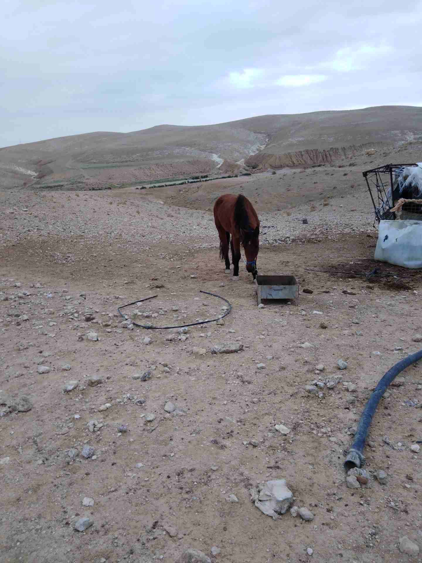 أفلح من ذكر الله وصلى على سيدنا محمد فرس عمر 4سنوات فاضية مطلوب 1،000
لا تنسَ أنك شاهدت هذا الإعلان في عنكبوت...