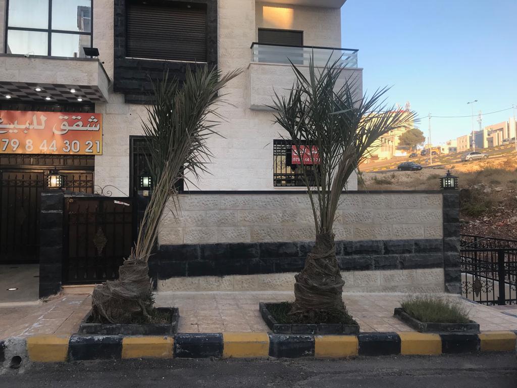 شقة ارضية مع ترس مميزة بالقرب من حي الصحابة
لا تنسَ أنك شاهدت هذا الإعلان في عنكبوت
شقة طابق...
