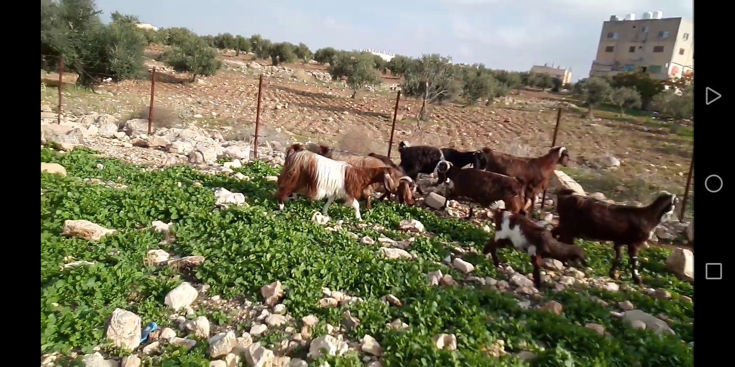 بسم الله الرحمن الرحيم 9 معز نخب مواليد عز المقنوه اذكر الله
لا تنسَ أنك شاهدت هذا الإعلان في عنكبوت...