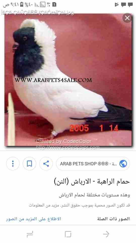 جوز ارباش الماني                                            


	 				لا تنسَ أنك شاهدت هذا الإعلان في عنكبوت            
	 				
                            بسم الله موجود جوز ارباش الماني شغلات نخ...