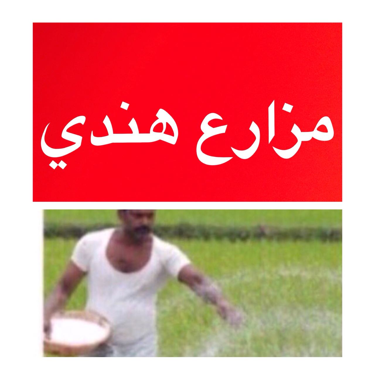 مزارع وعامل استراحة                                            


	 				لا تنسَ أنك شاهدت هذا الإعلان في عنكبوت            
	 				
                                العنوان: استقدام سواق من الهند وا...