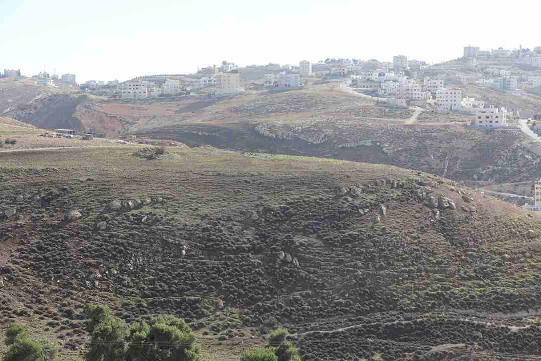 760م للبيع غرب عمان الدمينه
لا تنسَ أنك شاهدت هذا الإعلان في عنكبوت
أرض للبيع , الدمينه , خلف الظ...