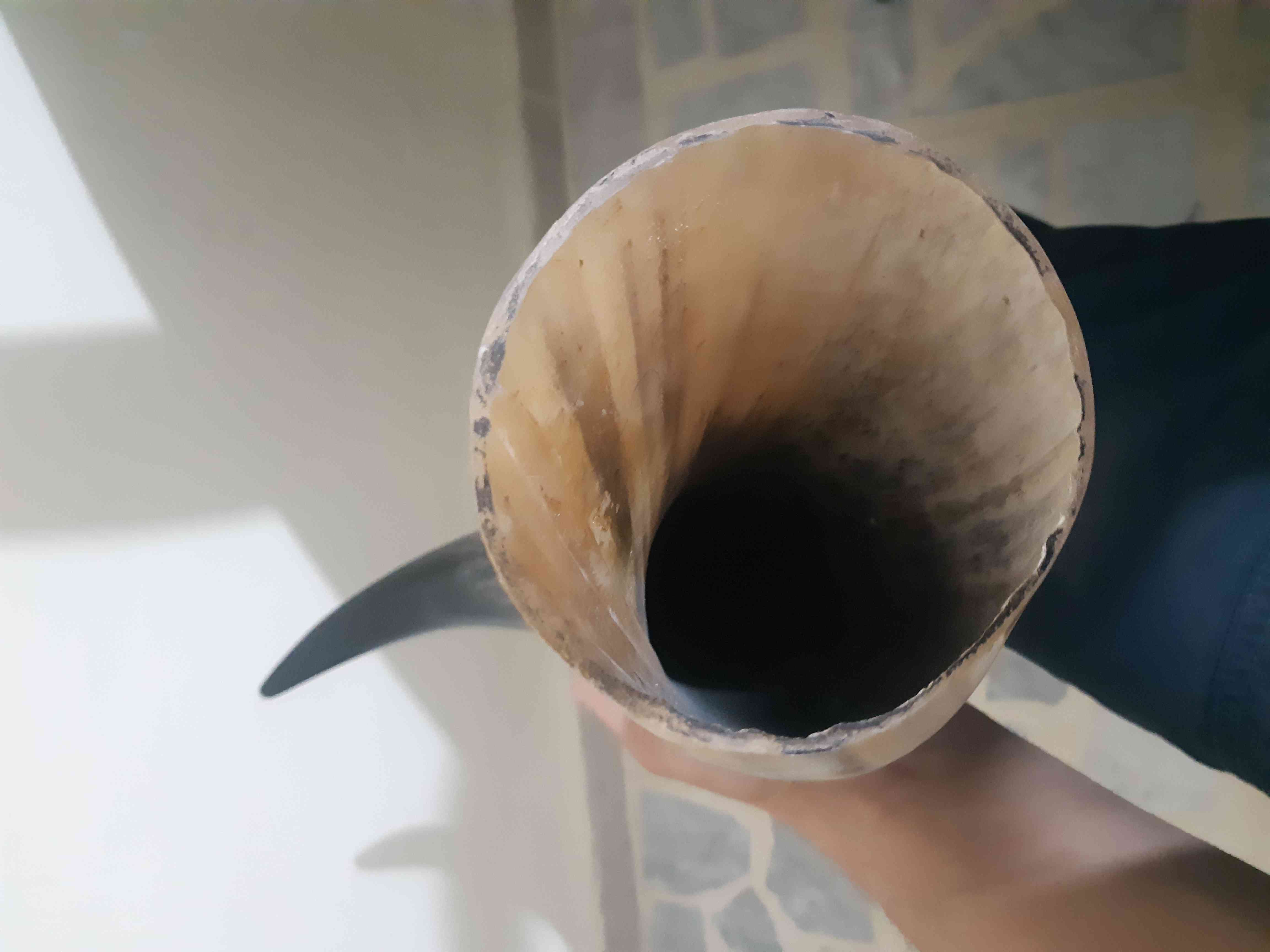 قرون جاموس مفرغه للبيع قرون                                            


	 				لا تنسَ أنك شاهدت هذا الإعلان في عنكبوت            
	 				
                                قرون جاموس عدد 4 للبيع...
