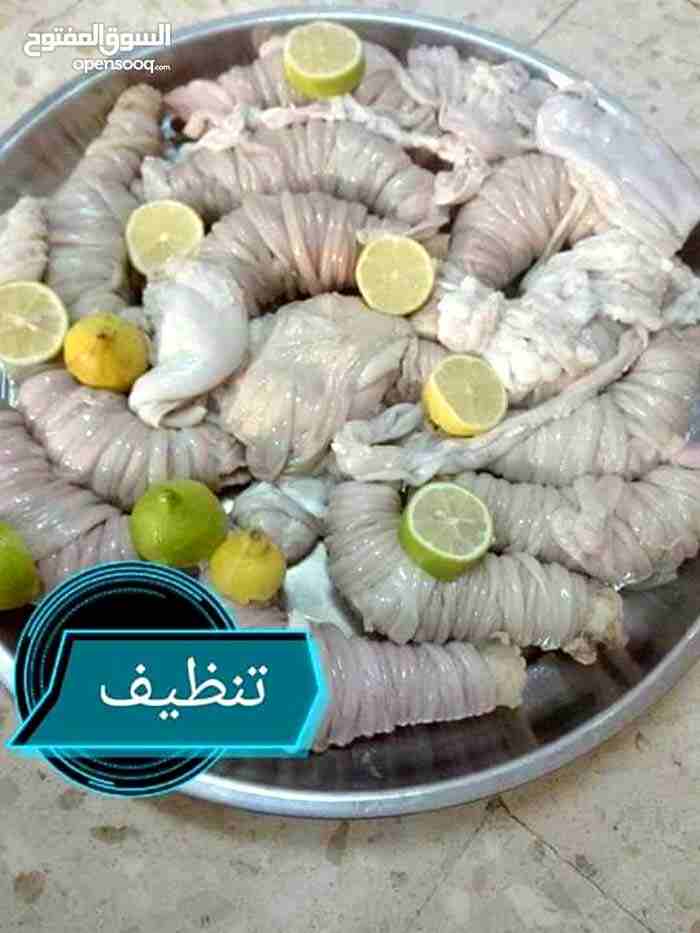 الشيف ام نور التواص والمناسبات خبره 20 سنه اكلات اردنيه سوريه طبخات اردنيه شاميه
لا تنسَ أنك شاهدت هذا الإعلان في عنكبوت...